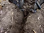 dsc01579.jpg